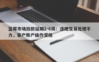 蓝莓市场放款延期2-6周：违规交易处理不力，客户账户操作受阻