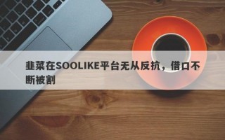 韭菜在SOOLIKE平台无从反抗，借口不断被割