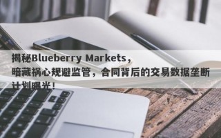 揭秘Blueberry Markets，暗藏祸心规避监管，合同背后的交易数据垄断计划曝光！