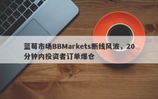 蓝莓市场BBMarkets断线风波，20分钟内投资者订单爆仓