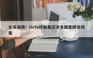 全球通缉！Octa诈骗集团涉多国套牌洗钱案