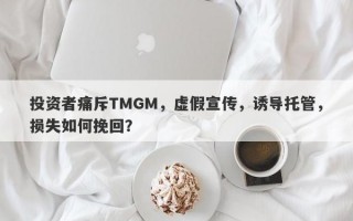 投资者痛斥TMGM，虚假宣传，诱导托管，损失如何挽回？