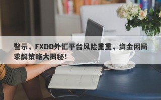 警示，FXDD外汇平台风险重重，资金困局求解策略大揭秘！