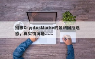 别被CryptosMarke的盈利图所迷惑，真实情况是......