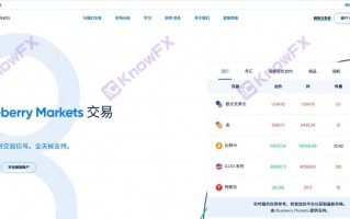 The blueberry market BBMARKETS is trapped in funds with the same roots as the fraud company Eightcap?Investors' funds are urgent!