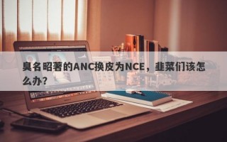 臭名昭著的ANC换皮为NCE，韭菜们该怎么办？