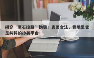 揭穿“摩石控股”伪装！表面合法，背地里竟是纯粹的抄袭平台！