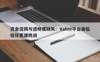 资金混同与透明度缺失：Vatee平台面临信任重建挑战