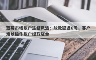 蓝莓市场账户冻结风波：放款延迟6周，客户难以操作账户提取资金