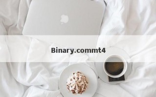 Binary.commt4