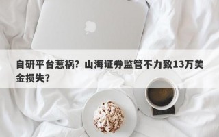 自研平台惹祸？山海证券监管不力致13万美金损失？