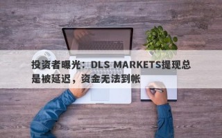 投资者曝光：DLS MARKETS提现总是被延迟，资金无法到帐