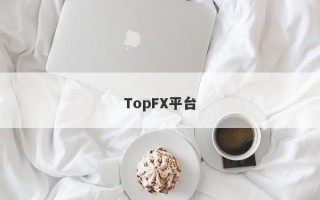 TopFX平台