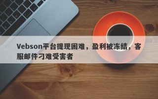 Vebson平台提现困难，盈利被冻结，客服邮件刁难受害者