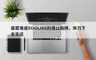 韭菜难逃SOOLIKE的借口陷阱，快刀下无生还