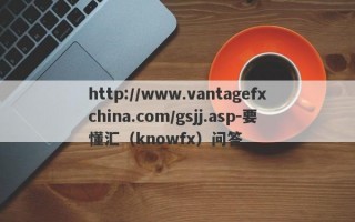 http://www.vantagefxchina.com/gsjj.asp-要懂汇（knowfx）问答