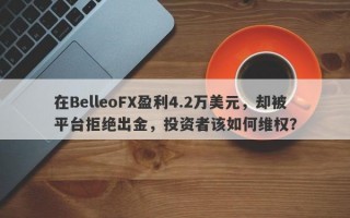 在BelleoFX盈利4.2万美元，却被平台拒绝出金，投资者该如何维权？