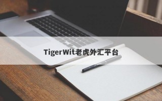 TigerWit老虎外汇平台