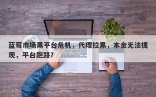 蓝莓市场黑平台危机，代理拉黑，本金无法提现，平台跑路？