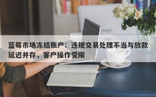 蓝莓市场冻结账户：违规交易处理不当与放款延迟并存，客户操作受限