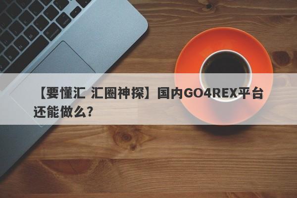 【要懂汇 汇圈神探】国内GO4REX平台还能做么？
-第1张图片-要懂汇圈网