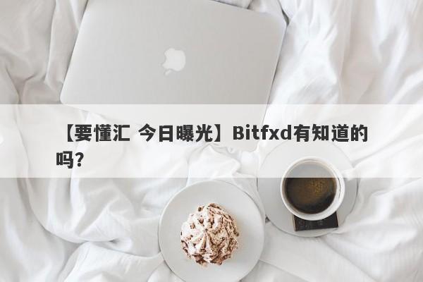 【要懂汇 今日曝光】Bitfxd有知道的吗？
-第1张图片-要懂汇圈网