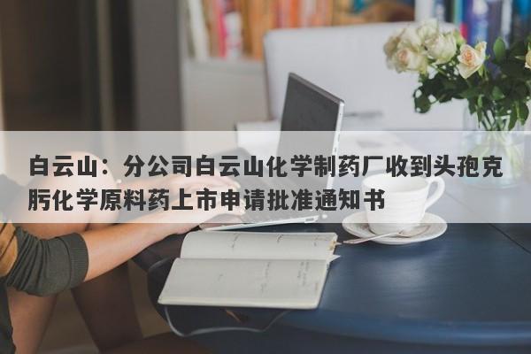 白云山：分公司白云山化学制药厂收到头孢克肟化学原料药上市申请批准通知书-第1张图片-要懂汇圈网