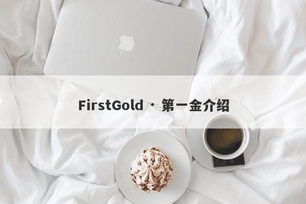 FirstGold · 第一金介绍-第1张图片-要懂汇圈网