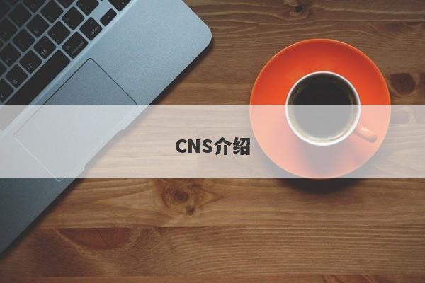 CNS介绍-第1张图片-要懂汇圈网