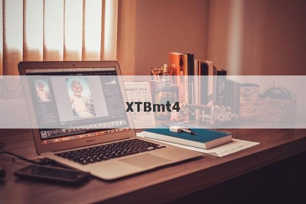 XTBmt4-第1张图片-要懂汇圈网