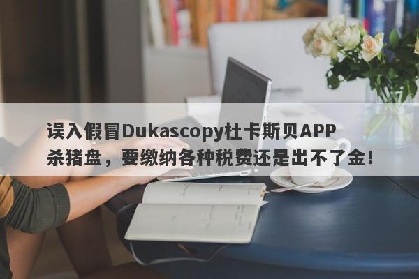 误入假冒Dukascopy杜卡斯贝APP杀猪盘，要缴纳各种税费还是出不了金！-第1张图片-要懂汇圈网