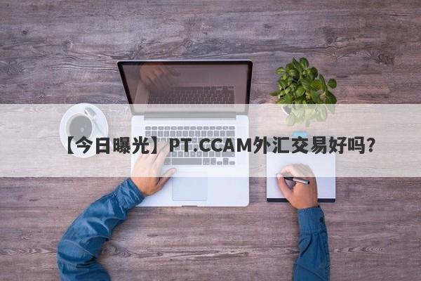 【今日曝光】PT.CCAM外汇交易好吗？
-第1张图片-要懂汇圈网