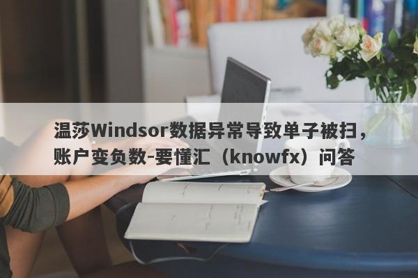 温莎Windsor数据异常导致单子被扫，账户变负数-要懂汇（knowfx）问答-第1张图片-要懂汇圈网