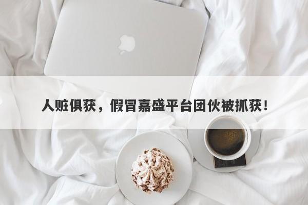 人赃俱获，假冒嘉盛平台团伙被抓获！-第1张图片-要懂汇圈网