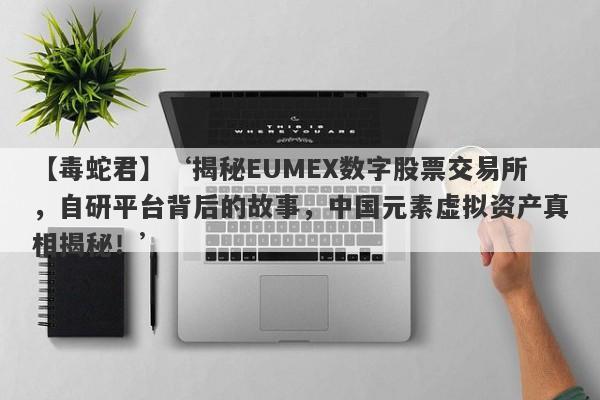 【毒蛇君】‘揭秘EUMEX数字股票交易所，自研平台背后的故事，中国元素虚拟资产真相揭秘！’-第1张图片-要懂汇圈网