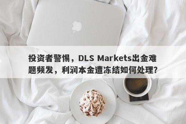 投资者警惕，DLS Markets出金难题频发，利润本金遭冻结如何处理？-第1张图片-要懂汇圈网