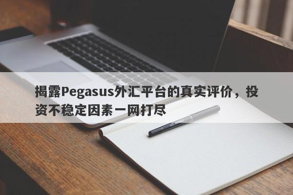 揭露Pegasus外汇平台的真实评价，投资不稳定因素一网打尽-第1张图片-要懂汇圈网