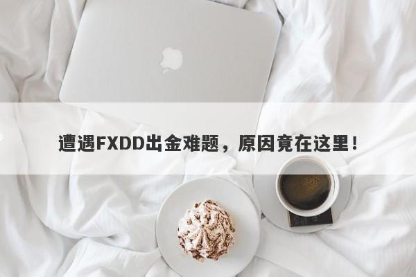 遭遇FXDD出金难题，原因竟在这里！-第1张图片-要懂汇圈网