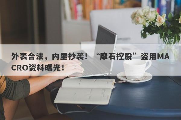 外表合法，内里抄袭！“摩石控股”盗用MACRO资料曝光！-第1张图片-要懂汇圈网