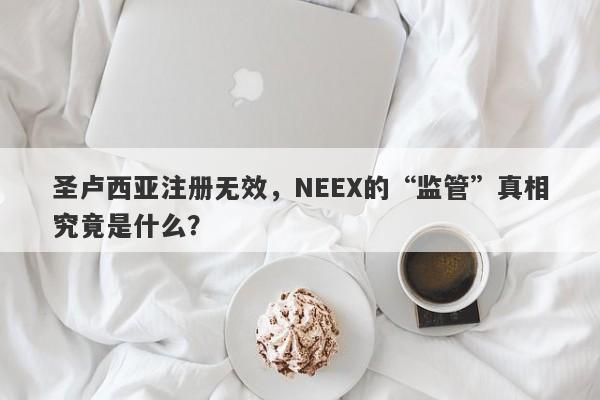 圣卢西亚注册无效，NEEX的“监管”真相究竟是什么？-第1张图片-要懂汇圈网