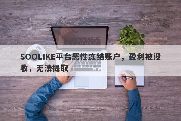 SOOLIKE平台恶性冻结账户，盈利被没收，无法提取-第1张图片-要懂汇圈网