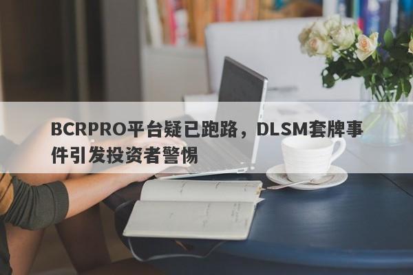 BCRPRO平台疑已跑路，DLSM套牌事件引发投资者警惕-第1张图片-要懂汇圈网