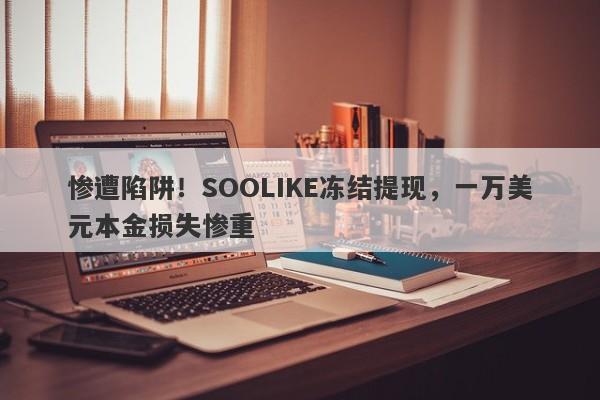 惨遭陷阱！SOOLIKE冻结提现，一万美元本金损失惨重-第1张图片-要懂汇圈网