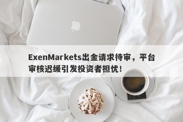 ExenMarkets出金请求待审，平台审核迟缓引发投资者担忧！-第1张图片-要懂汇圈网